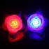 Romantiška LED rožė